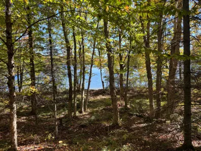 Spectacle Lake Property 5 acres Retriever Ln Photo 2