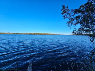 Muskellunge Lake Property NEAR Ridgeway Dr Photo 2