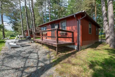 Big Arbor Vitae house picture