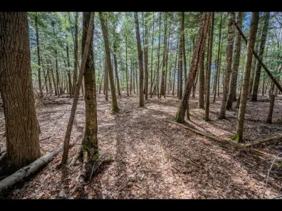 Clearwater Lake lot picture