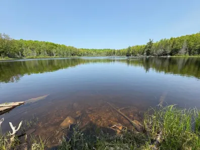Undocumented Lake lot picture