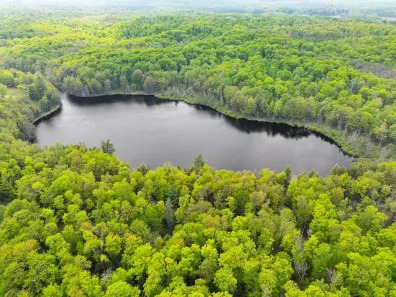 Undocumented Lake Property 8677N Davis Rd Photo 2