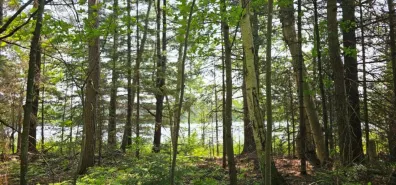 Undocumented Lake Property TBD off Deer Rd Photo 2