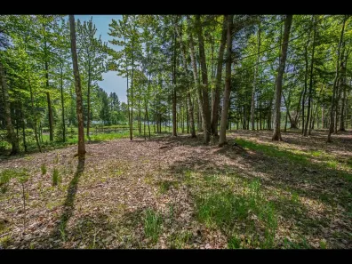 Clearwater Lake lot picture