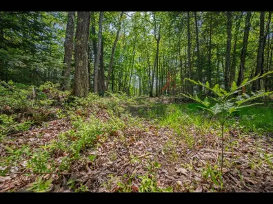 Clearwater Lake Property Lot 12 Kinderhook Tr Photo 2