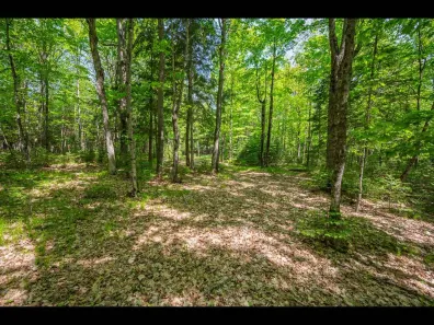 Clearwater Lake Property Lot 23 Bonita Pt Photo 2