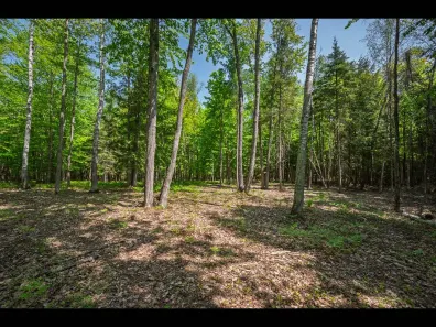 Clearwater Lake lot picture