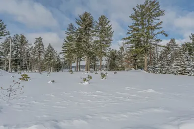 Watersmeet Lake Property 5328 Hwy 70 Photo 2