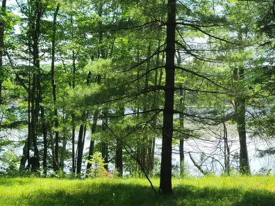 Wind Pudding Lake Property 6069 Windpudding Dr N Photo 2