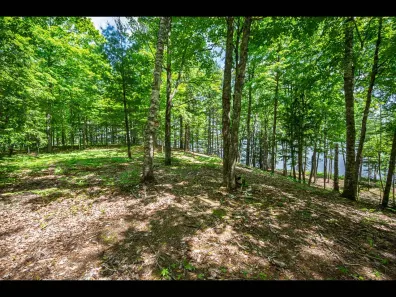 Clearwater Lake Property Lot 134 Clearwater Lake Tr Photo 2