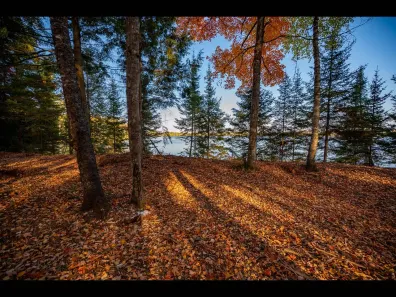 Picture 1 - Clearwater Lake Property Lot 137 Clearwater Lake Tr