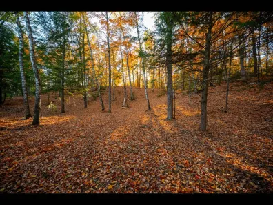 Clearwater Lake Property Lot 137 Clearwater Lake Tr Photo 2