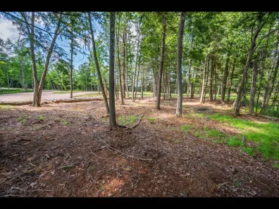 Clearwater Lake Property Lot 139 Clearwater Lake Tr Photo 2