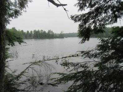 Muskesin Lake Property ON Arbor Ln Photo 2