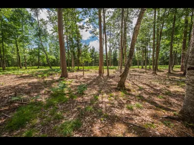 Clearwater Lake Property Lot 160 Clearwater Lake Tr Photo 2