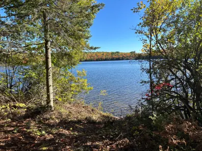Spectacle Lake lot picture