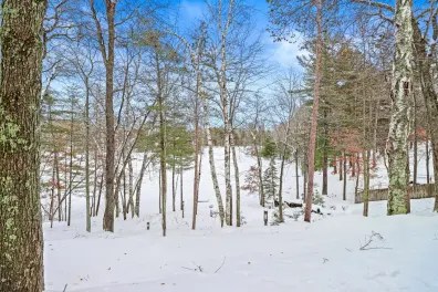 Bass Lake(R) Property 4014 Sandy Bluff Rd Photo 2