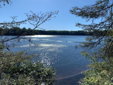 Landing Lake lot picture