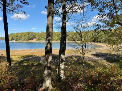 Plummer Lake Property 2389 Southeast Bay Ln Photo 2