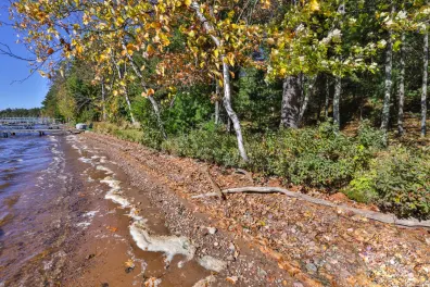 Island Lake Property Lot on Fallon Rd Photo 2