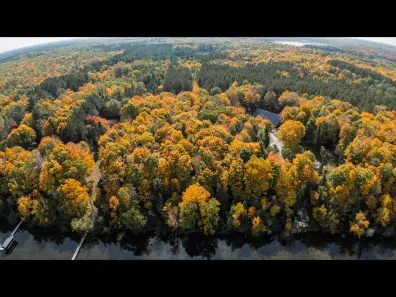 Harris Lake Property ON W Harris Lake Rd Photo 2