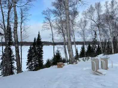 Morton Lake Property 2 acres Bobcat Rd Photo 2