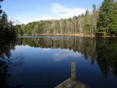 Undocumented Lake Property 4607N Popko Cr W Photo 2