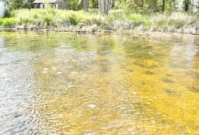 Picture 1 - Pelican Lake Property 1134 Roberts Rd