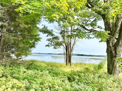 Pelican Lake Property 1134 Roberts Rd Photo 2