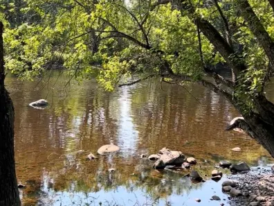 River Property Property N9076 Old Bridge Rd Photo 2