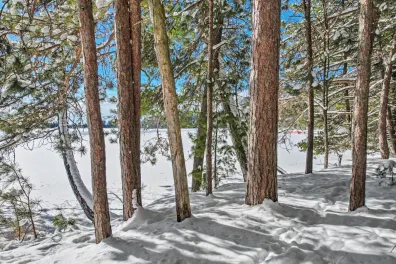 Laurel Lake lot picture