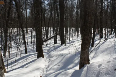 River Property Property ON West Rapids Rd Photo 2