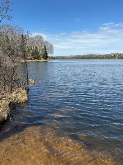 Twin Island Lake lot picture