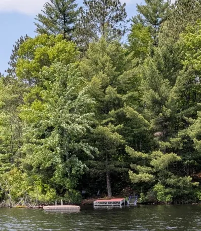 Ross Allen Lake Property 14903 Chequamegon Forest Tr Photo 2