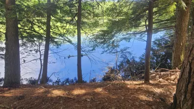 Picture 1 - Big Lake Property Lot 1 Staehling Rd