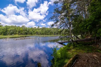 Picture 1 - Big Lake Property Lot 2 Staehling Rd