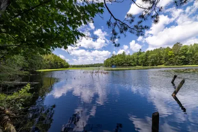 Picture 1 - Big Lake Property Lot 3 Staehling Rd
