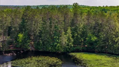 Big Lake Property Lot 3 Staehling Rd Photo 2