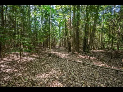 Clearwater Lake Property Lot 1 Memory Ln Photo 2