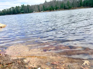 Picture 1 - Clear Lake R Property 7422 Clear Lake Rd