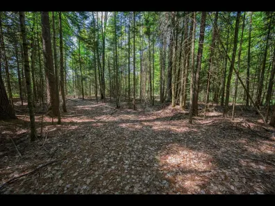 Clearwater Lake Property Lots 1-4 Memory Ln Photo 2