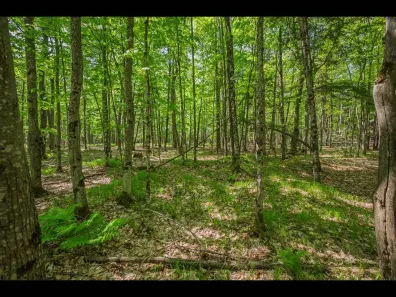 Clearwater Lake lot picture