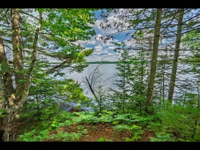 Clearwater Lake lot picture