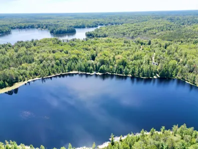 Undocumented Lake Property ON David Lake Ln Photo 2