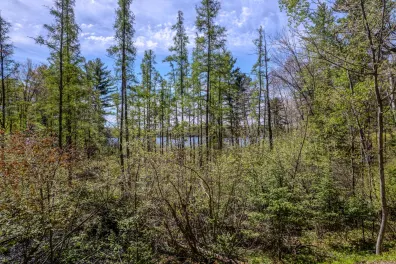 Little Bearskin Lake Property Lot 5 Little Bearskin Rd Photo 2
