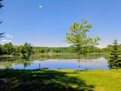 Solberg Lake Property N11068 Pine Tree Ln Photo 2