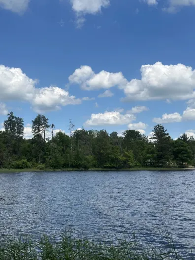 Picture 1 - Rice River Flowage Property ON Cth Y