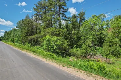 River Property Property Lot on Cloverland Dr Photo 2