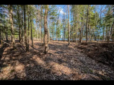 Clearwater Lake Property Lot 19 Memory Ln Photo 2