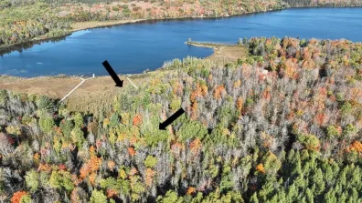 Picture 1 - Long Lake (P) Property Off Fernwood Dr